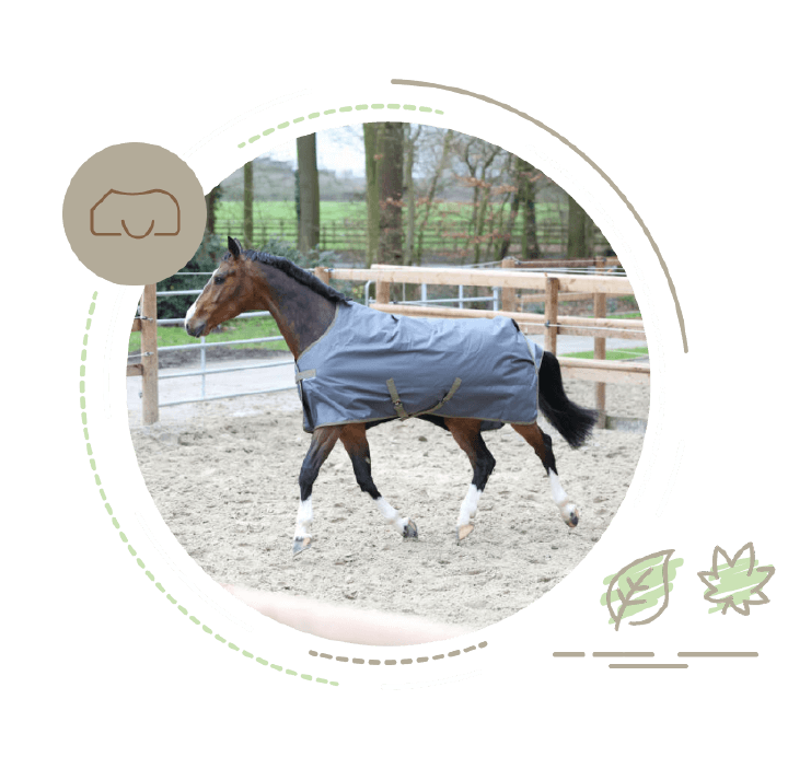 Eindecken Landingpage